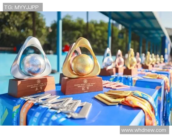 2017南京市长杯足球赛精彩回顾与赛事亮点分析