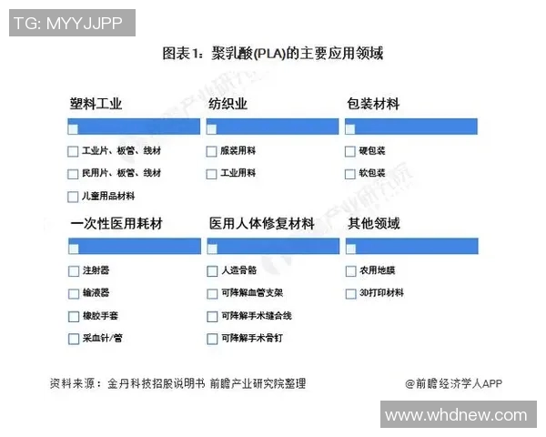 上海极限运动队的灵活性探讨与发展现状分析