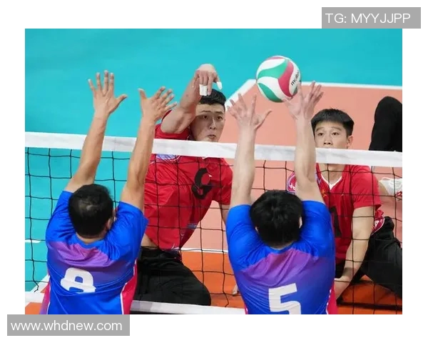 上海排球队技术实力强劲荣登全国排球技术排行榜第一名