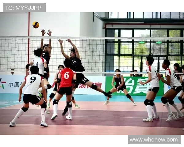 上海排球队在大师赛中的灵活性表现分析与战术探讨