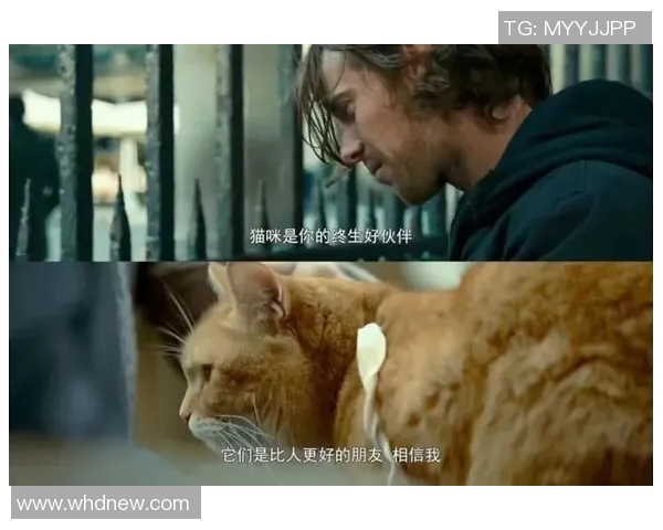 上帝的视角下足球的魅力与人类情感的交织与碰撞