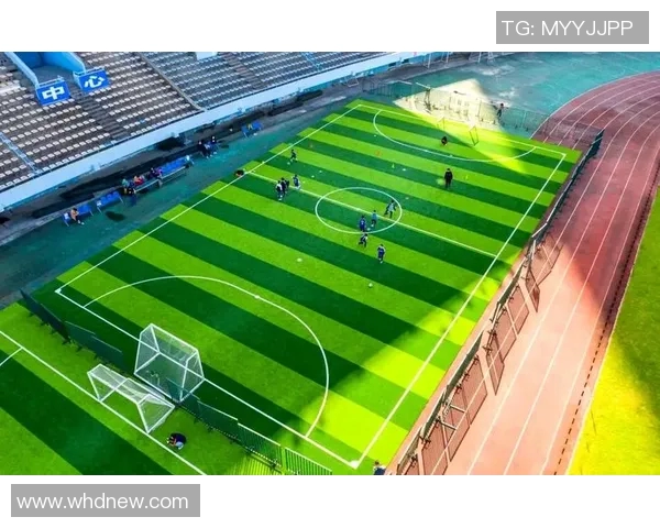 专业足球场地建设与维护的重要性及其对足球发展的影响分析